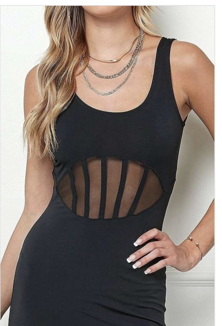 TKK Leslie Mesh LBD Dress
