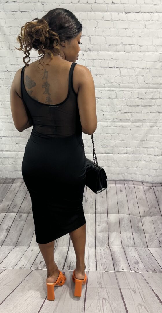 TKK Leslie Mesh LBD Dress